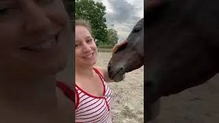 C’est échec 🤪 