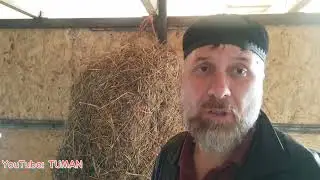 Целый Тюк Сена, на сколько хватит в Рептухе жеребцу Лахибу. Лошадь, Кобыла, Туман.