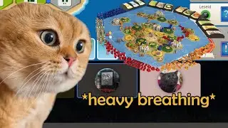Catan & DnD I guess