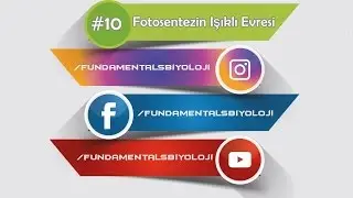 Fotosentezin Işıklı Evresi (Kısa Kısa #10)