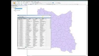 ArcGIS 10.x - Export to new shapefile with only desired fields