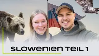 Zurück im Land der Bären & Eulen - Slowenien Teil 1 - Naturfotografie / Tierfotografie