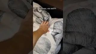 Девочки, что это?! #pinetiko
