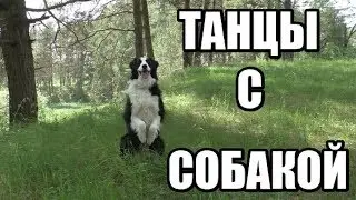 Поездка на соревнования по ФРИСТАЙЛУ -  ТАНЦЫ С СОБАКАМИ - Дрессировка собак (Влог)