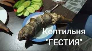 Коптильня "Гестия" - делаем рыбку.