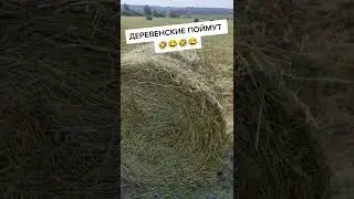 Сельский юмарок) #Shorts