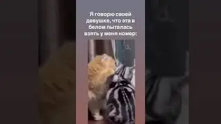 Я говорю своей девушке, что эта в белом пыталась взять у меня номер😂 #dutiap #юмор #отношения