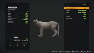 Diamond and Rare Montage for October 2024!!|theHunter COTW