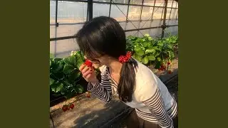 Солнечное лето