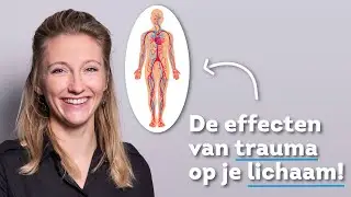 Effecten van trauma op je lichaam