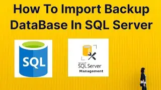 How to Import Database in MS SQL Server | SQL for Beginner | SQL Tutorials