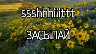 ssshhhiiittt - Засыпай кавер cover