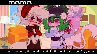 |meme|🐱[Питомца мы тебе не вернём]❌|[ЛаЕва]|Sofachups