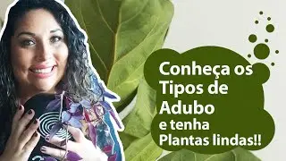 Como ter plantas lindas utilizando o adubo certo