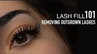 Volume Lash 101/ How to remove grown out lashes/ Eyelash Fill Tutorial /  Eyelash Removal Techniques