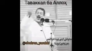 Таваккал ба Аллох
