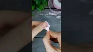 Канзаши 