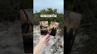 Что тебя ждет #таролог #tarot #картытаро #тароонлайн #тарорасклад