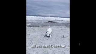 Sometimes, all you need is the sea