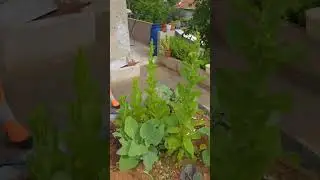 İstanbul'da müstakil evde yaşamak