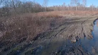 лес свобода от ада