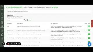 How to find internal anchor text conflict // Twylu