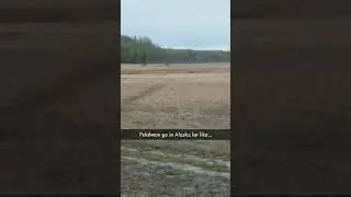 Pokemon go in Alaska be like