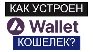 Как устроен кошелек Avax Wallet ? Инструкция для новичков