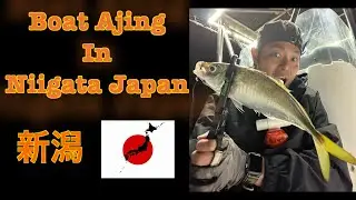 DQ Boat Ajing in Niigata Japan