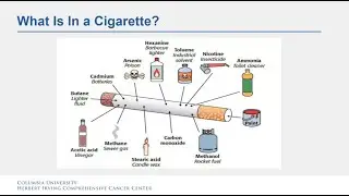 Tobacco, Risks of Use, and Cancer