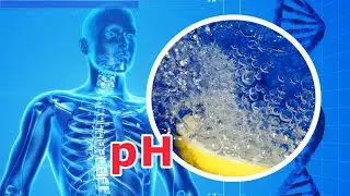 ALKALNA VODA reguliše pH organizma, a evo kako se pravi