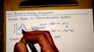 Transition States Vs Intermediates