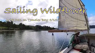 Sailing SCAMP Wildflower with Dan 4-15-2024