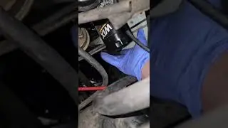 Chevelle Oil Change! *Project Daily Driver* #chevelle #Oilchange #savethefourdoors #teenmechanic
