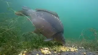 The Czech underwater - the secret of new gravel pit