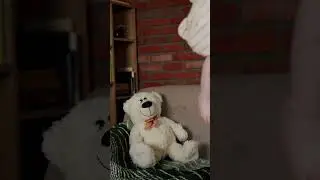 Why are teddy bears never hungry? | Riddles for kids
