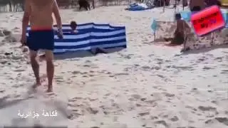 Дикий кабан на пляже.