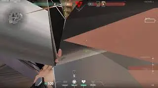 Valorant Sage texture bug