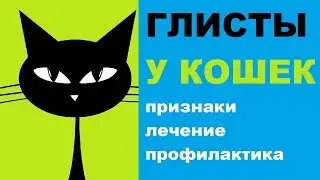 Признаки глистов у кошек, лечение, профилактика