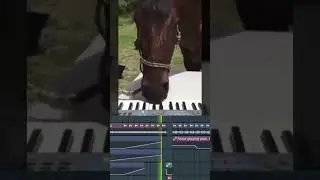 Horse on the piano 🎧
