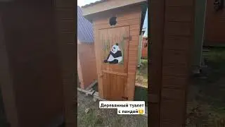 Дачный туалет с пандой / Столярка 24