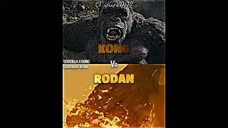 Kong vs Rodan 