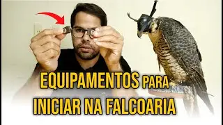 Essential equipment to get started | Dorival Lima - Falconry and Paragliding