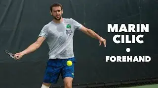 MARIN CILIC • FOREHAND & SLOW MOTION • MARCH 2016