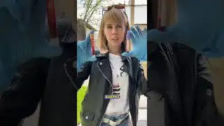 На собаке живут клещи.