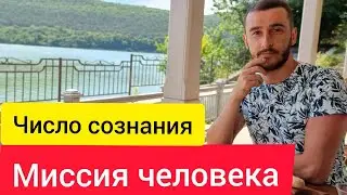 Миссия человека. Число сознание. Сюцай.