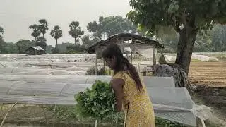দেখো আমি কত কাজ করি 😁😁😁🙈#viralvideo #views