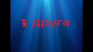 3 друга