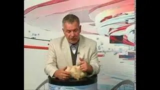 Айзверт