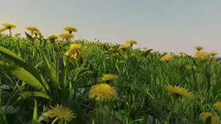blender 2.82 Photorealistic Grass GrasWald test